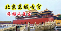 狂插小穴视频观看中国北京-东城古宫旅游风景区